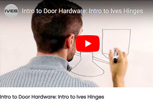 Ives Videos / Training